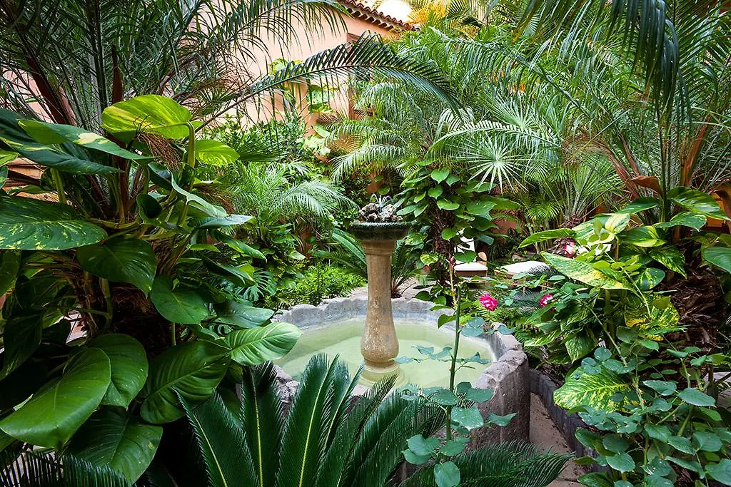 Hotel Livvo La Quinta Roja Garachico  Spain